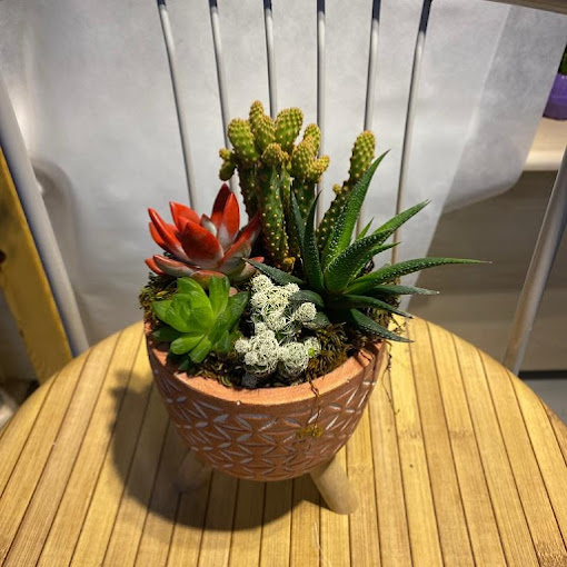 ayakl dekoratif saksda tereryum (buyukboy)