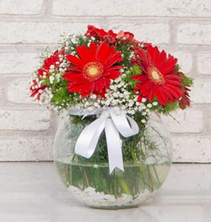cam-fanusta-hazirlanmis-gerbera-arajmani